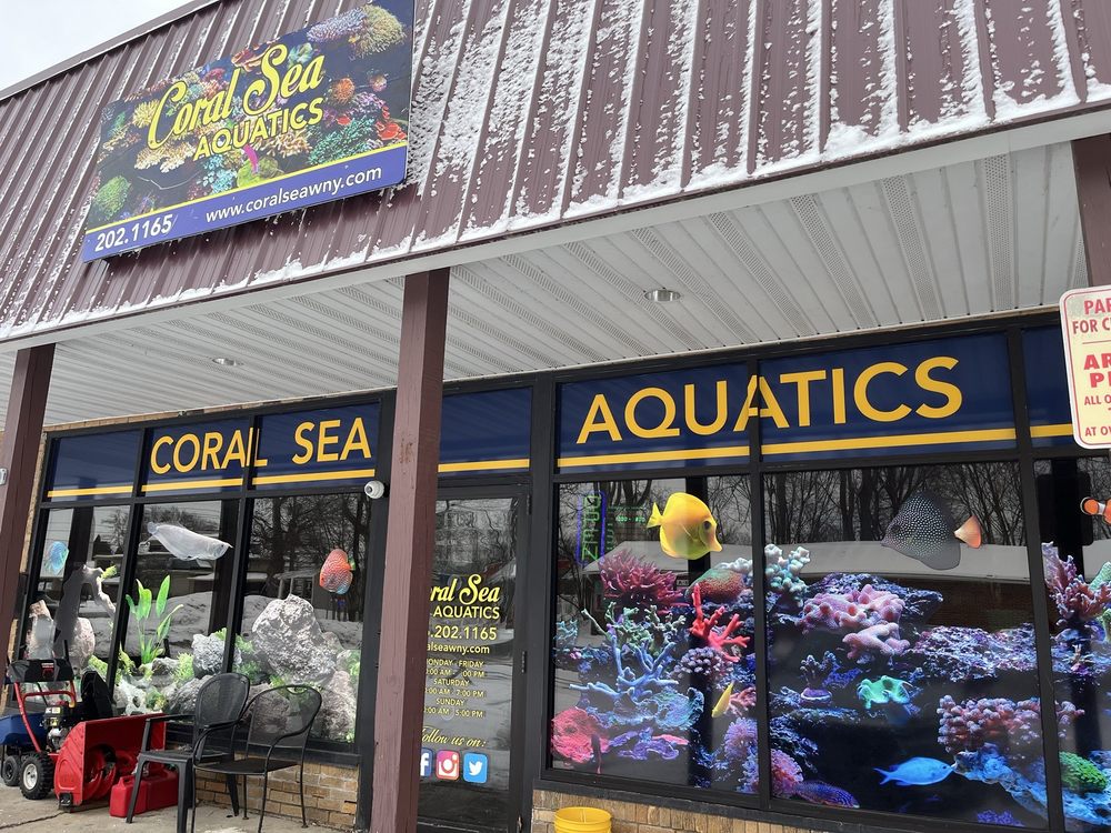 Coral Sea Aquatics Logo