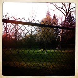 Wiggley Field