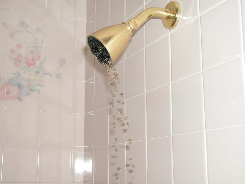 Slide of Repipe Specialists - Salt Lake City