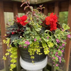S & K Nursery