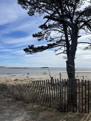 Popham Beach State Park by null