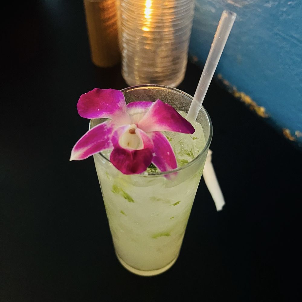 Punta Cana Caribbean Restaurant - Mojito - Dominican Near Me - Houston, Texas Punta Cana Caribbean Restaurant - Mojito - Dominican Near Me - Houston, Texas