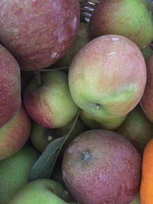 Beilke Family Farm by null