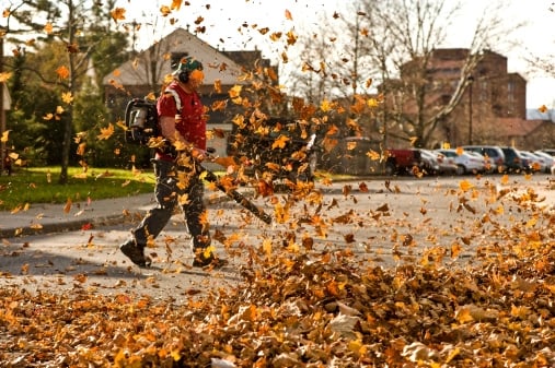 Behrends Lawn Care - tree service in Cedar Rapids, IA