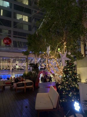 Ivory on Sunset by null