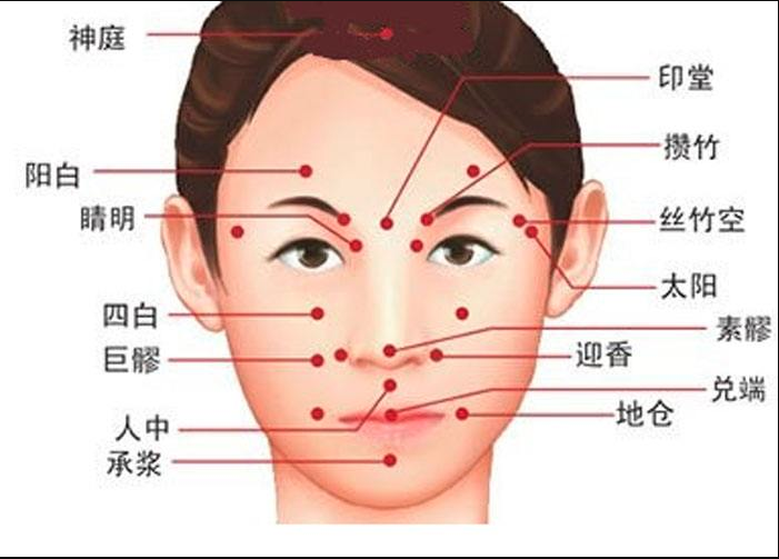 Chinese Clove Clinic Logo