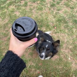 Mountain Mocha - My fave. Hot almond milk latte , 1 pump caramel, 1 pump vanilla. And Harper wishing she had one. But she's a lot of energy as it is.