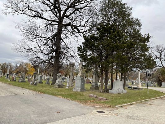 Bohemian National Cemetery by null