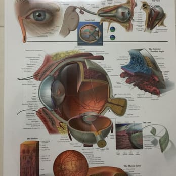 Conesa Vision Center - Optometrists Near Me - Miami, Florida Conesa Vision Center - Optometrists Near Me - Miami, Florida