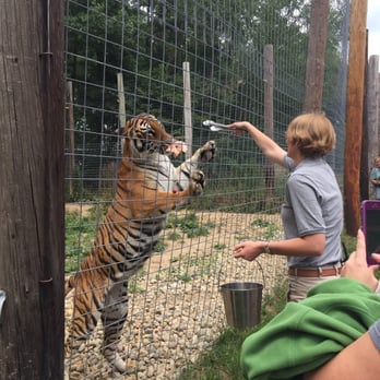 Black Pine Animal Sanctuary - Feeding time- - Animal Shelters Near Me - Albion, Indiana Black Pine Animal Sanctuary - Feeding time- - Animal Shelters Near Me - Albion, Indiana