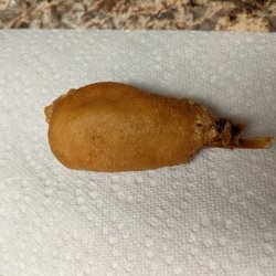 Hong Kong Chinese Restaurant - Sweet & Sour Shrimp posing as a corn dog