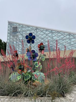 Amarillo Botanical Gardens by null