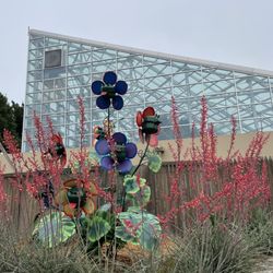 Amarillo Botanical Gardens - "Rain forest"