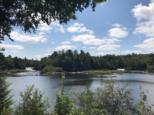 Tahquamenon Falls State Park by null