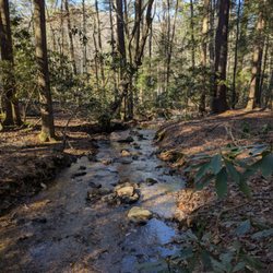 Vogel State Park - A lovely creek on a cold winter day. 01-02-2025