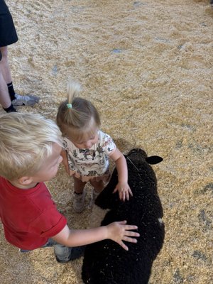 Colorado State Fairgrounds by null