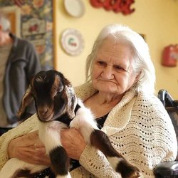 Alzheimers Care Our Countryside Resort - baby goats indoor