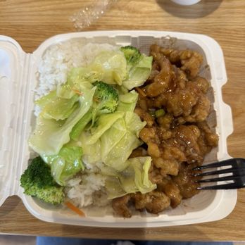 Teri Gao Asian Cafe - 8. Orange Chicken - Shaved Ice Near Me - Provo, Utah