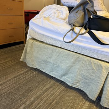 Hampton Inn Nashville/Vanderbilt - Mattress warped! Stains on floor! - Hotels Near Me - Nashville, Tennessee Hampton Inn Nashville/Vanderbilt - Mattress warped! Stains on floor! - Hotels Near Me - Nashville, Tennessee