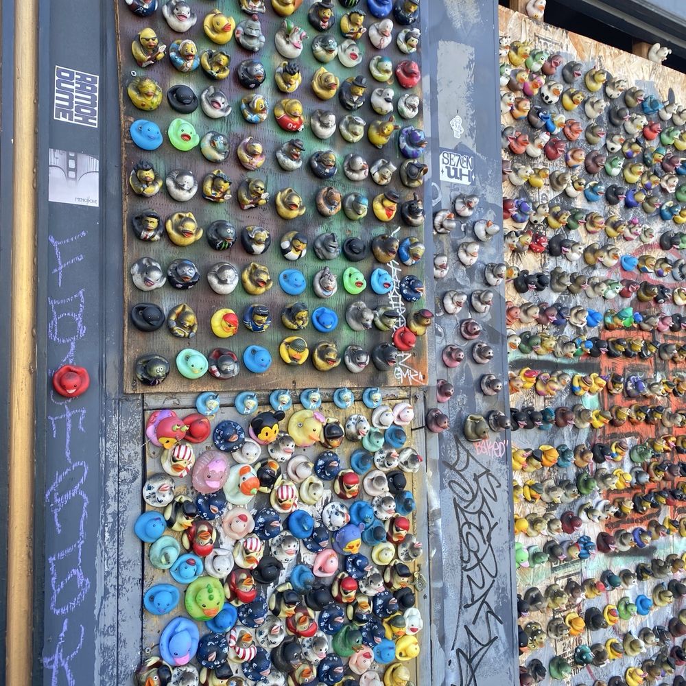 Duck Wall - Local Flavor Near Me - San Francisco, California