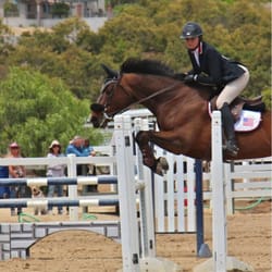 Point Break Farms - We had a great horse show this weekend! Made my debut successfully in the 1.20m jumpers!