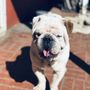 Photo of Kinder 4 Rescue