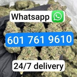 Twist Cannabis