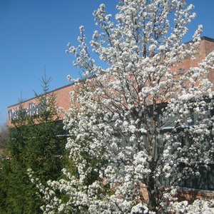 The News-Herald on Yelp