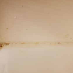 Holiday Inn Express & Suites Baltimore - BWI Airport North - Dirty tub edges