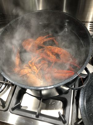 Shaw's Fish & Lobster Wharf by null