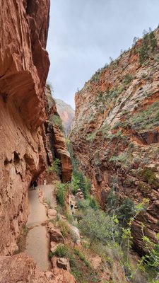 Angels Landing by null