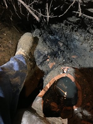 Best Flow Sewer & Drain Logo