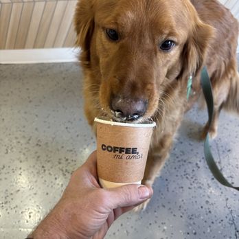 Coffee, Mi Amor - Cafes Near Me - Chatsworth, California Coffee, Mi Amor - Cafes Near Me - Chatsworth, California