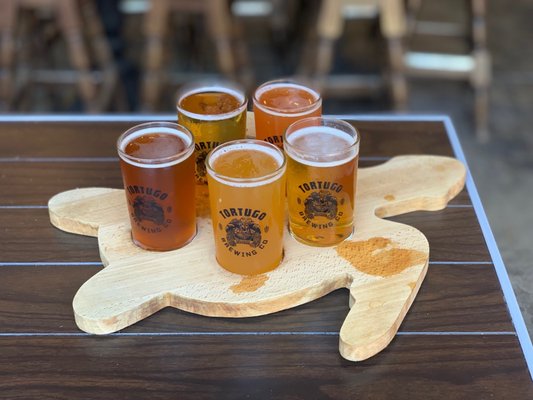 Tortugo Brewing Company by null