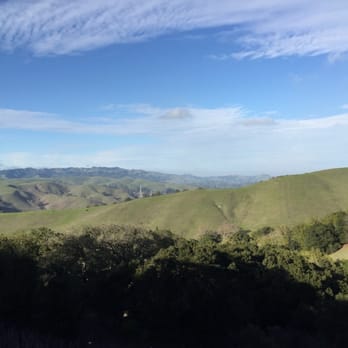 Captain Vineyards - Wineries Near Me - Moraga, California