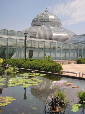 Como Park Zoo & Conservatory by null