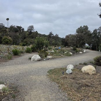 Paradise Hills Native Garden - Botanical Gardens Near Me - San Diego, California Paradise Hills Native Garden - Botanical Gardens Near Me - San Diego, California