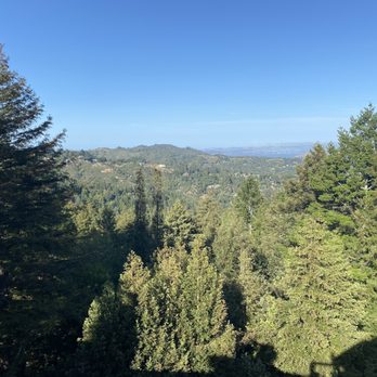 Mountain Home Inn - Overlook from hotel - Bed & Breakfast Near Me - Mill Valley, California