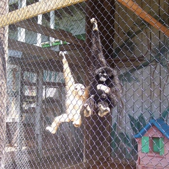 Oaklawn Farm Zoo - Zoos Near Me - Aylesford, Nova Scotia Oaklawn Farm Zoo - Zoos Near Me - Aylesford, Nova Scotia