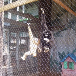 Oaklawn Farm Zoo