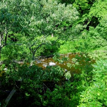 Tiffany Perennials - View from store overlooking the Tohickon Creek - Nurseries & Gardening Near Me - Point Pleasant, Pennsylvania Tiffany Perennials - View from store overlooking the Tohickon Creek - Nurseries & Gardening Near Me - Point Pleasant, Pennsylvania