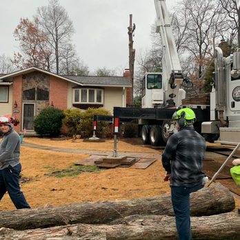 JL Tree Service - Tree Services Near Me - Fairfax, Virginia