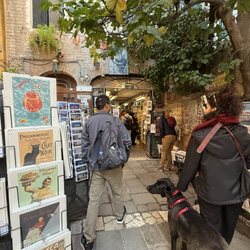 Libreria Acqua Alta