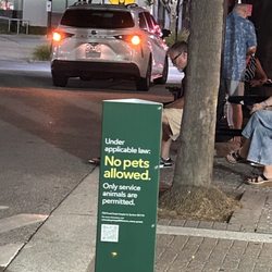 Uber - Another driver.