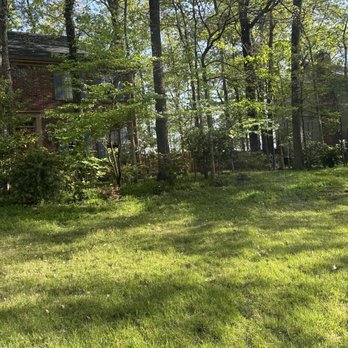 MJ Landscape Solution - Landscaping Near Me