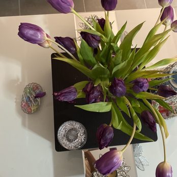 Greynolds Flower Shop - First day I bought them home - Florists Near Me - North Miami, Florida