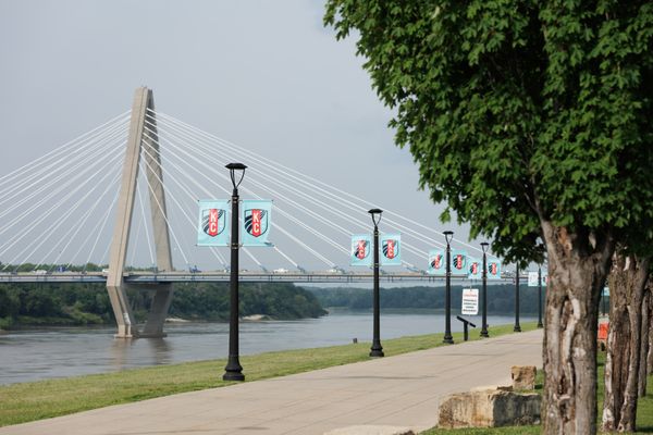 Two Birds One Stone by null