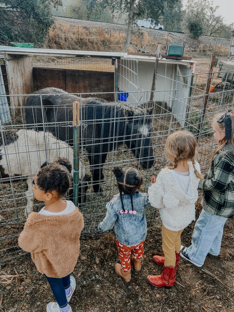 Little Owlettes Daycare - childcare center in Sacramento, CA