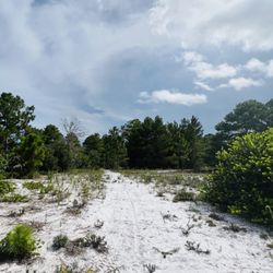 The Thomas A. McGillicuddy Eco-Park at Quantum Corporate Park