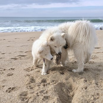 Redondo Beach - Beaches Near Me